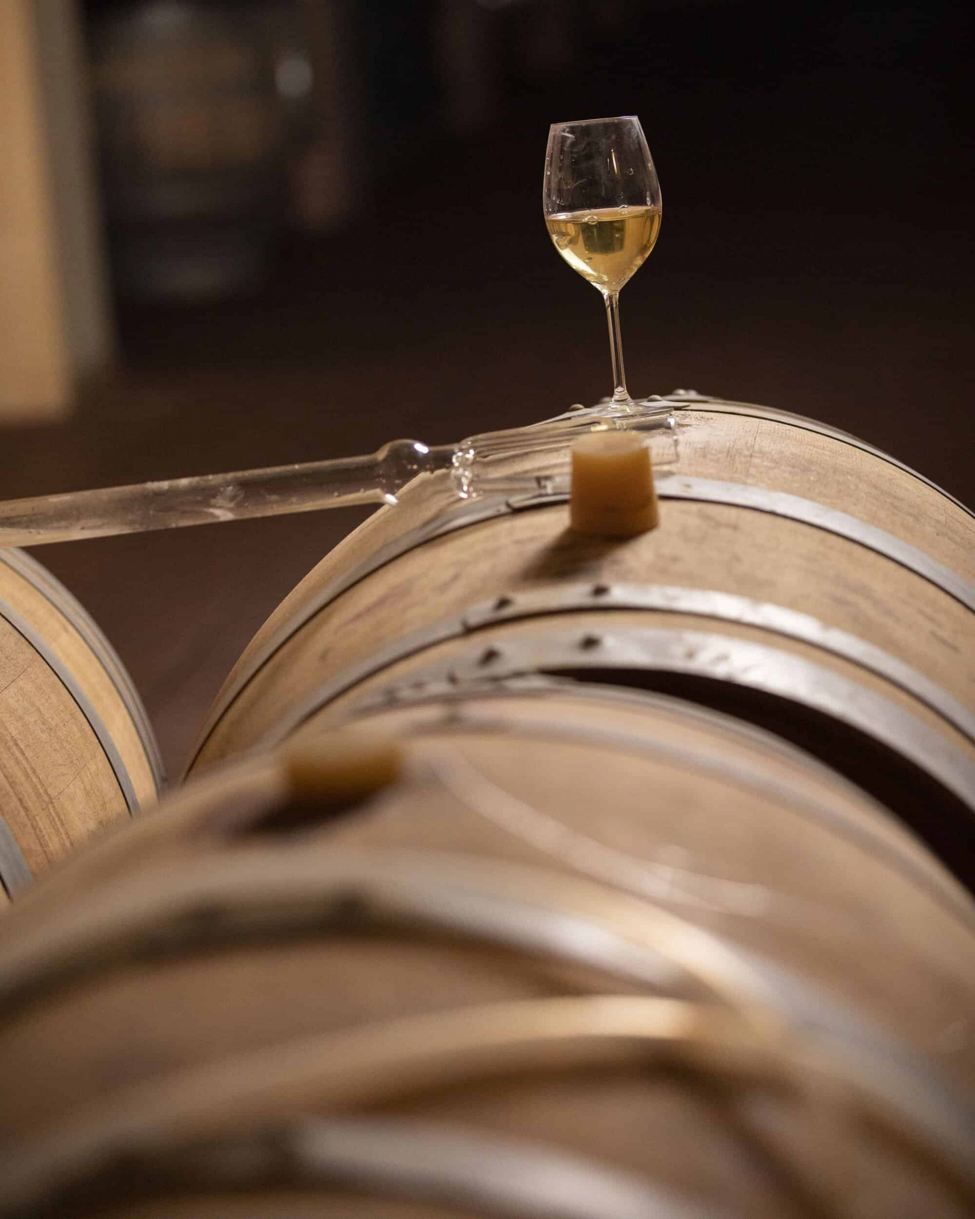 Wine glass next to barrels at the wine cellar of complejo enoturístico Finca La Estacada